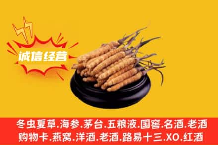 四平梨树县回收冬虫夏草